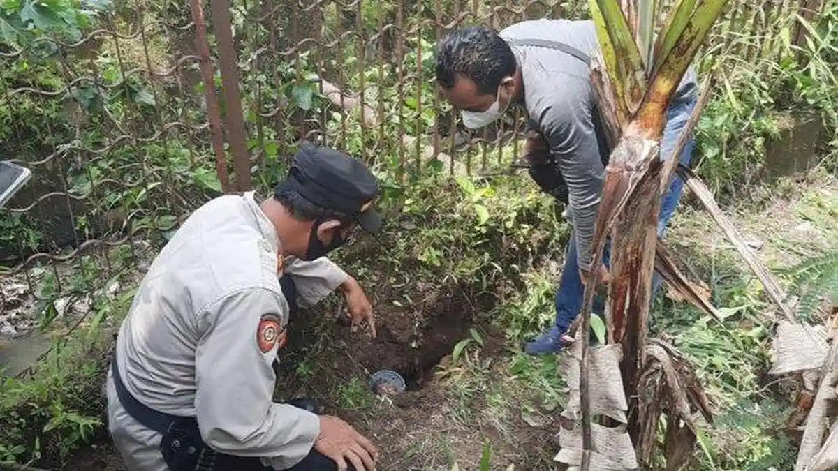 Asyik Bersihkan Kebun dengan Cangkul, Warga Kampung Siluman Temukan Dua Granat Nanas Aktif