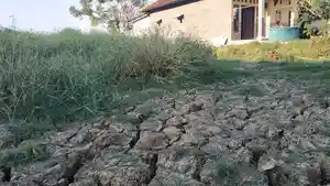 jateng/kekeringan-kabupaten-brebes.jpg