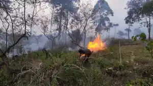 pemadaman-lahan-gambut-di-kaki-Gunung-Guntur.jpg