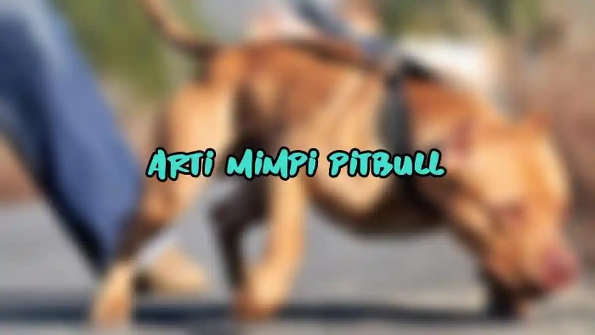 Arti Mimpi Tentang Pitbull, Pertanda Ada Seseorang Mengawasi Anda, Ini Tafsir Lengkapnya