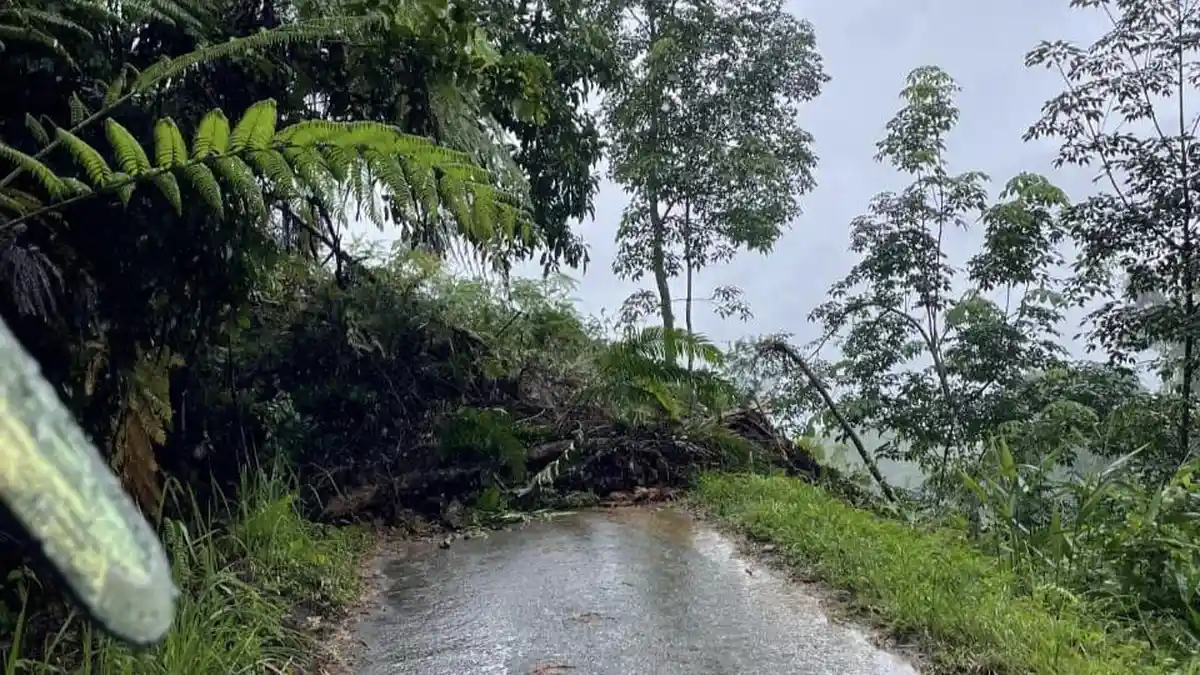 Material Longsor 2,5 Meter Timbun Badan Jalan di Salareh Aia Timur Agam, Kendaraan Tak Bisa Lewat