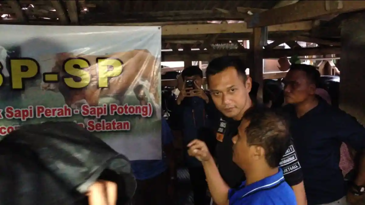 Jadi Pemenang di Survei LSI Denny JA, Agus Yudhoyono Semringah