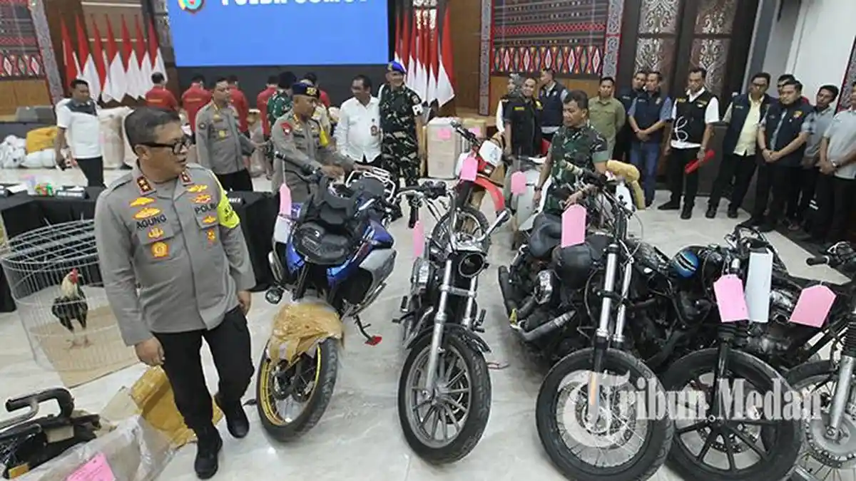 63 Ekor Ayam Bangkok Judi Selundupan lewat Pelabuhan Tikus ke Sumut, Seekor Harganya Rp 20 Juta