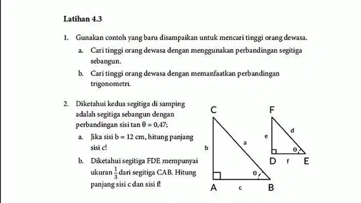 Kunci Jawaban Matematika Kelas 10: Cari Tinggi Orang Dewasa dengan Perbandingan Trigonometri
