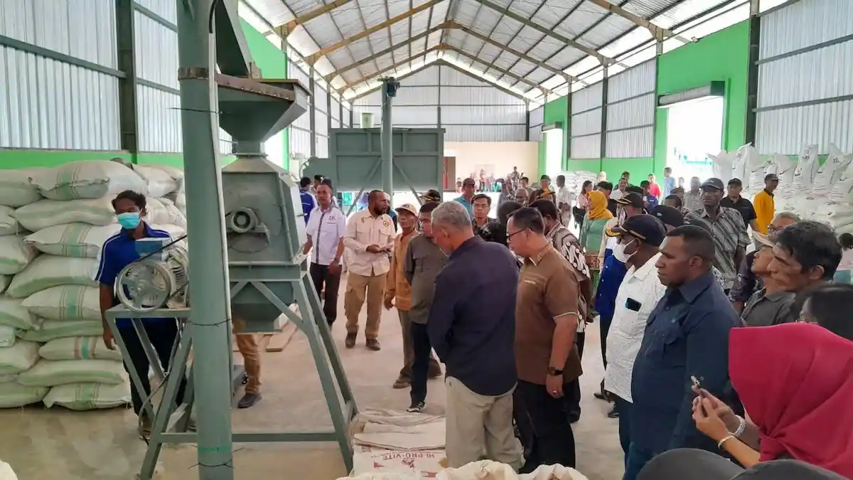 Pabrik Pakan Ternak Pertama di Papua Selatan: Libatkan Petani dan Nelayan di Merauke  