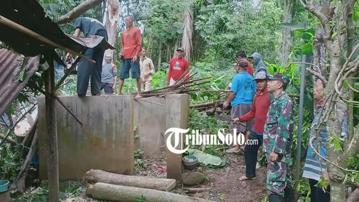 Angin Kencang, Pohon Pete Tumbang Timpa Rumah di Wonogiri