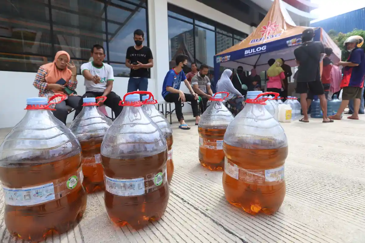Subsidi Minyak Goreng Curah Dicabut, Harga Mulai Turun tapi Belum Sentuh HET, Apa Kata Pedagang?