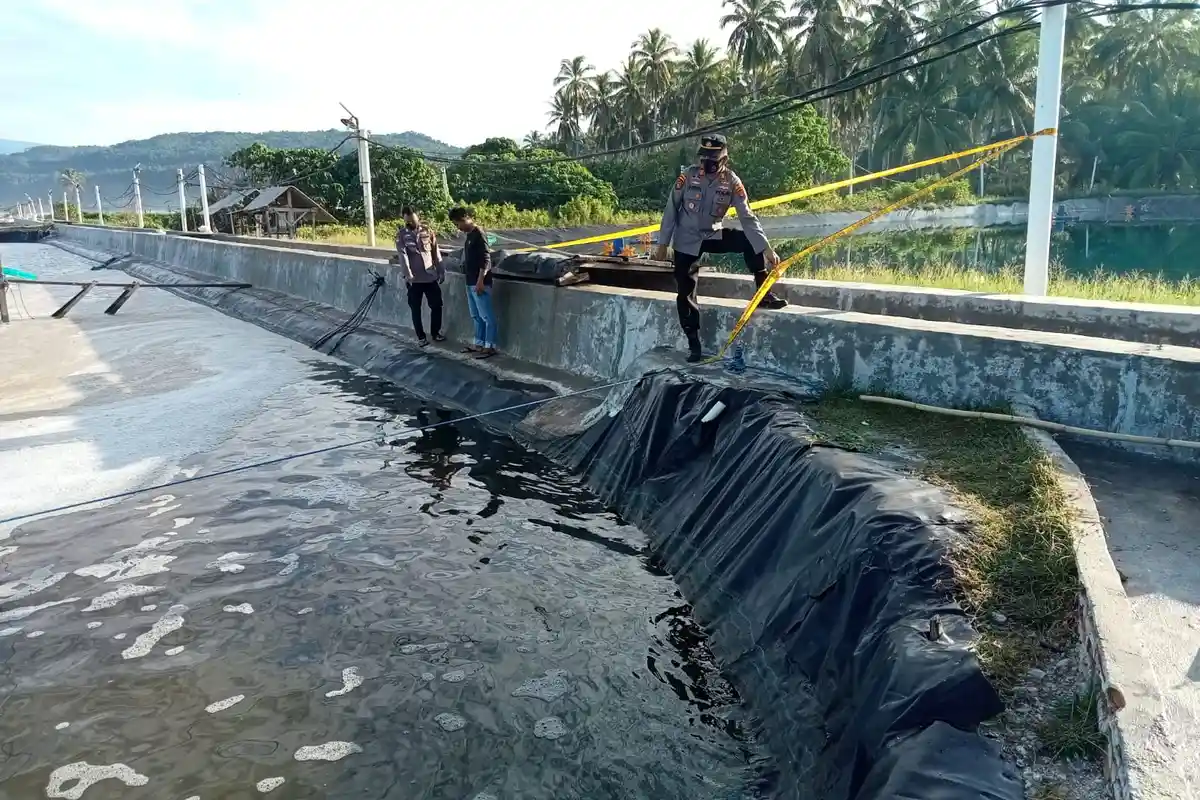 Satpam Tambak Udang di Pesisir Barat Ditemukan Tewas Tenggelam, Polisi Tak Temukan Kekerasan
