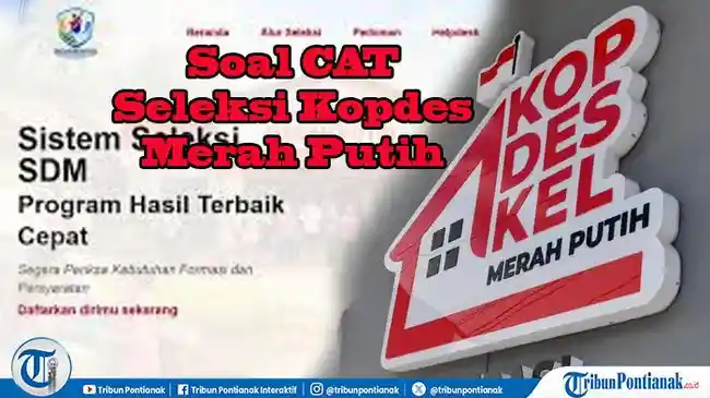 Tribun