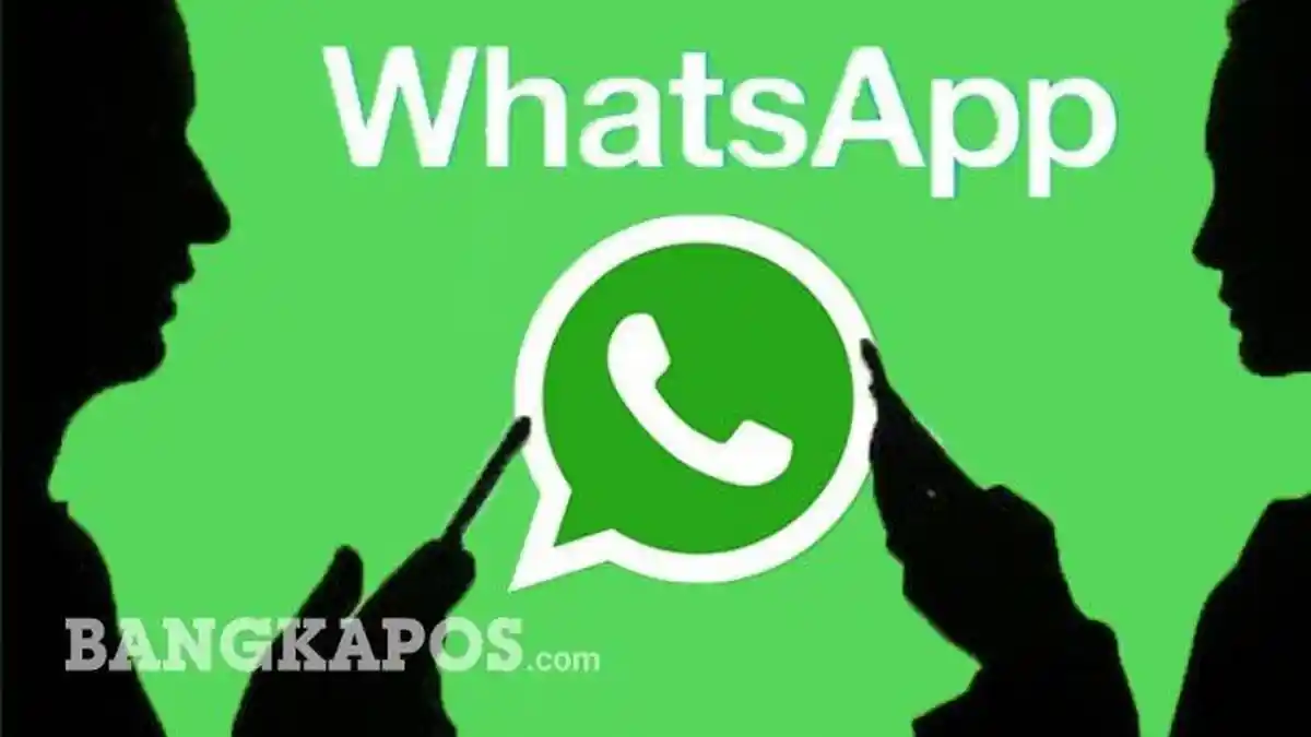 Kini Video Call Dengan WhastApp Bisa 8 Orang, Pelajari Caranya di Sini