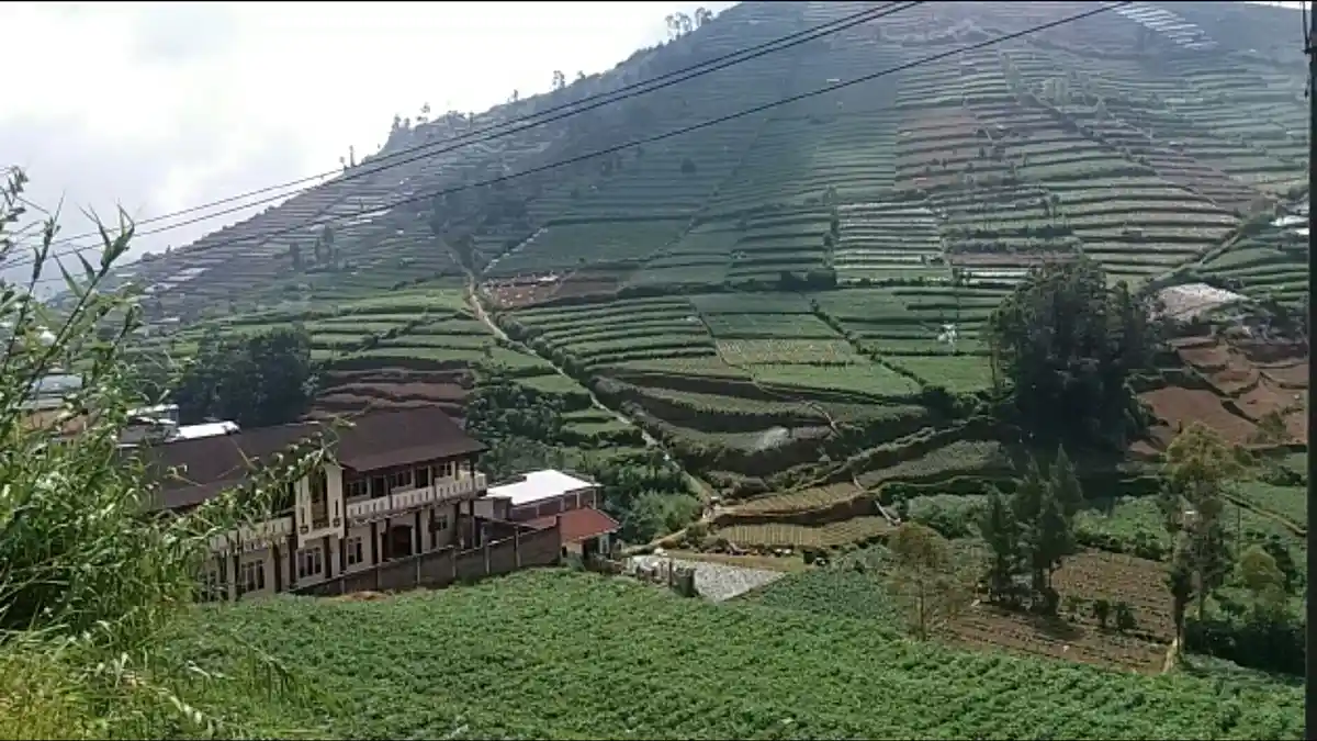 Degradasi Lahan di Kawasan Dataran Tinggi Dieng kKan Mengkhawatirkan