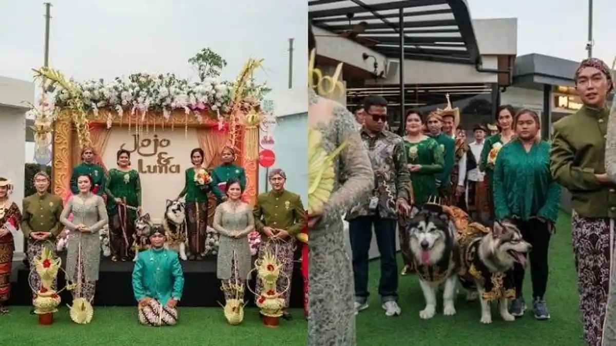 Sosok Pemilik Anjing yang Dinikahkan Mewah Terkuak, Ternyata Staf Khusus Presiden, Habis Rp200 Juta
