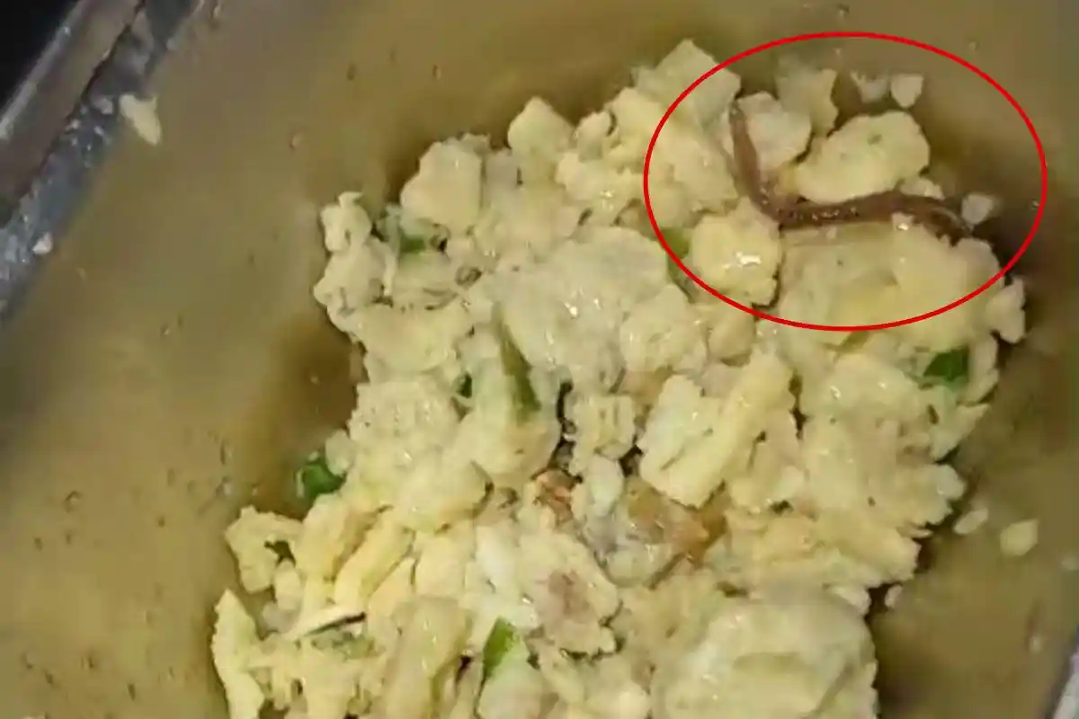 Heboh Temuan Cacing Tanah Dalam Telur Orak Arik MBG di Medan, BGN Sumut: Enggak Make Sense