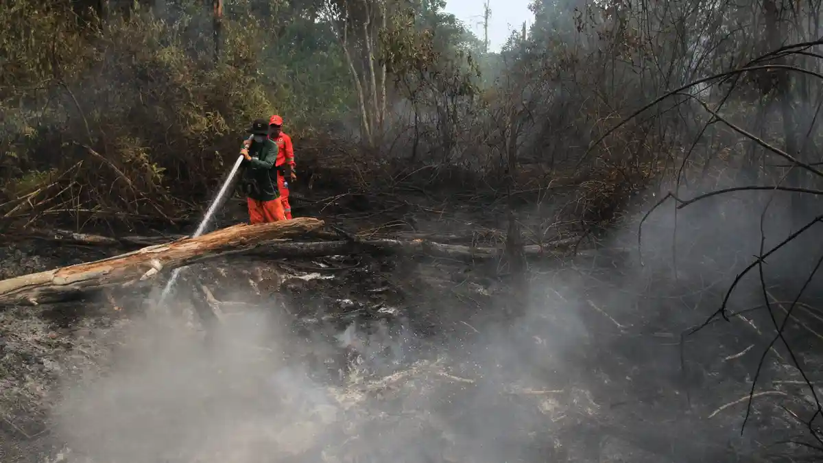Peringatan Dini BMKG Hari Ini, Jumat 30 Agustus: Waspadai Cuaca Ekstrem dan Kebakaran Hutan
