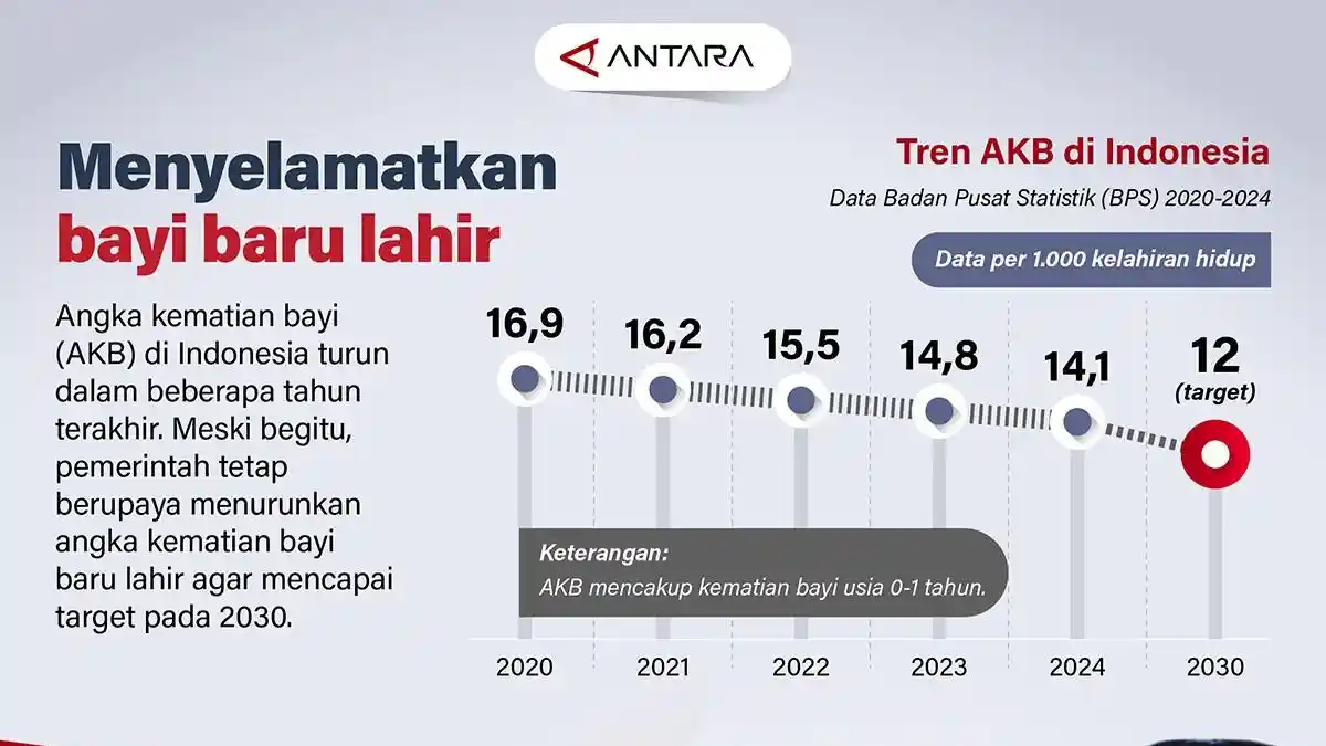 Menyelamatkan Bayi Baru Lahir