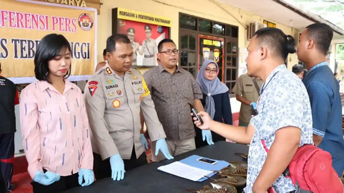 Polisi Setop Pikap Pembawa 332 Ekor Belangkas di Lintas Tebingtinggi-Kisaran, Amankan 3 Pelaku