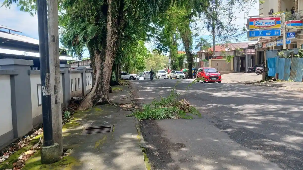 Cuaca Ekstrem di Manado Sebabkan Dahan hingga Pohon Tumbang di Jalan 17 Agustus