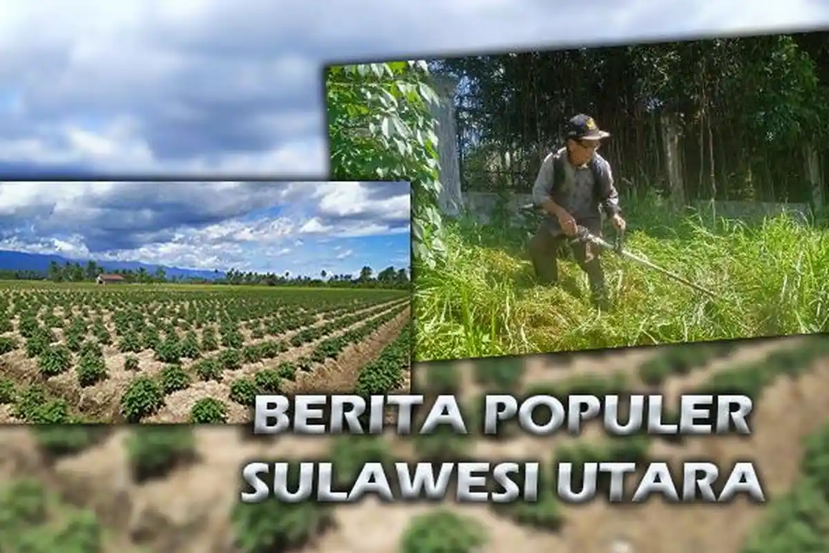 Berita Populer Sulawesi Utara Senin 13 Januari 2025