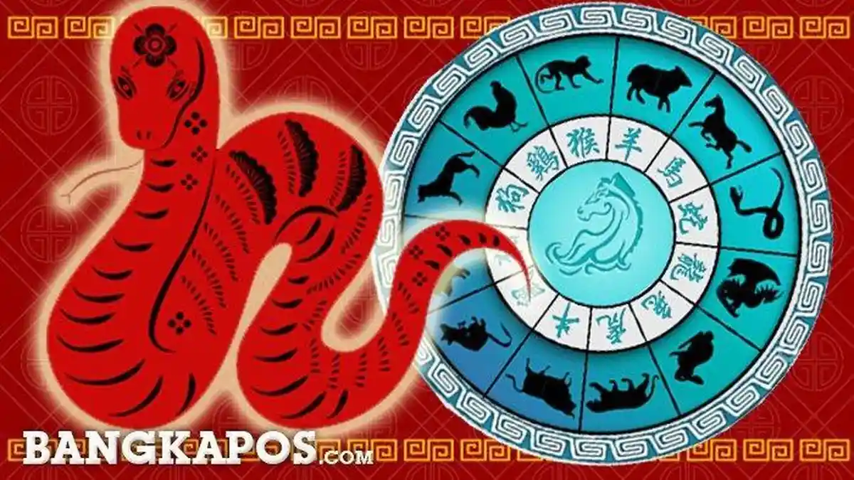 Daftar 12 Shio China Lengkap dengan Karakteristiknya, Ini Ramalan di Tahun Ular Kayu
