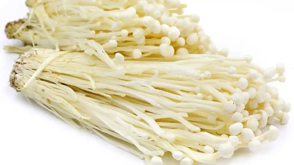 Tanda-tanda Seseorang Terinfeksi Bakteri Listeria yang Ada pada Jamur Enoki, Ini Cara Mencegahnya!