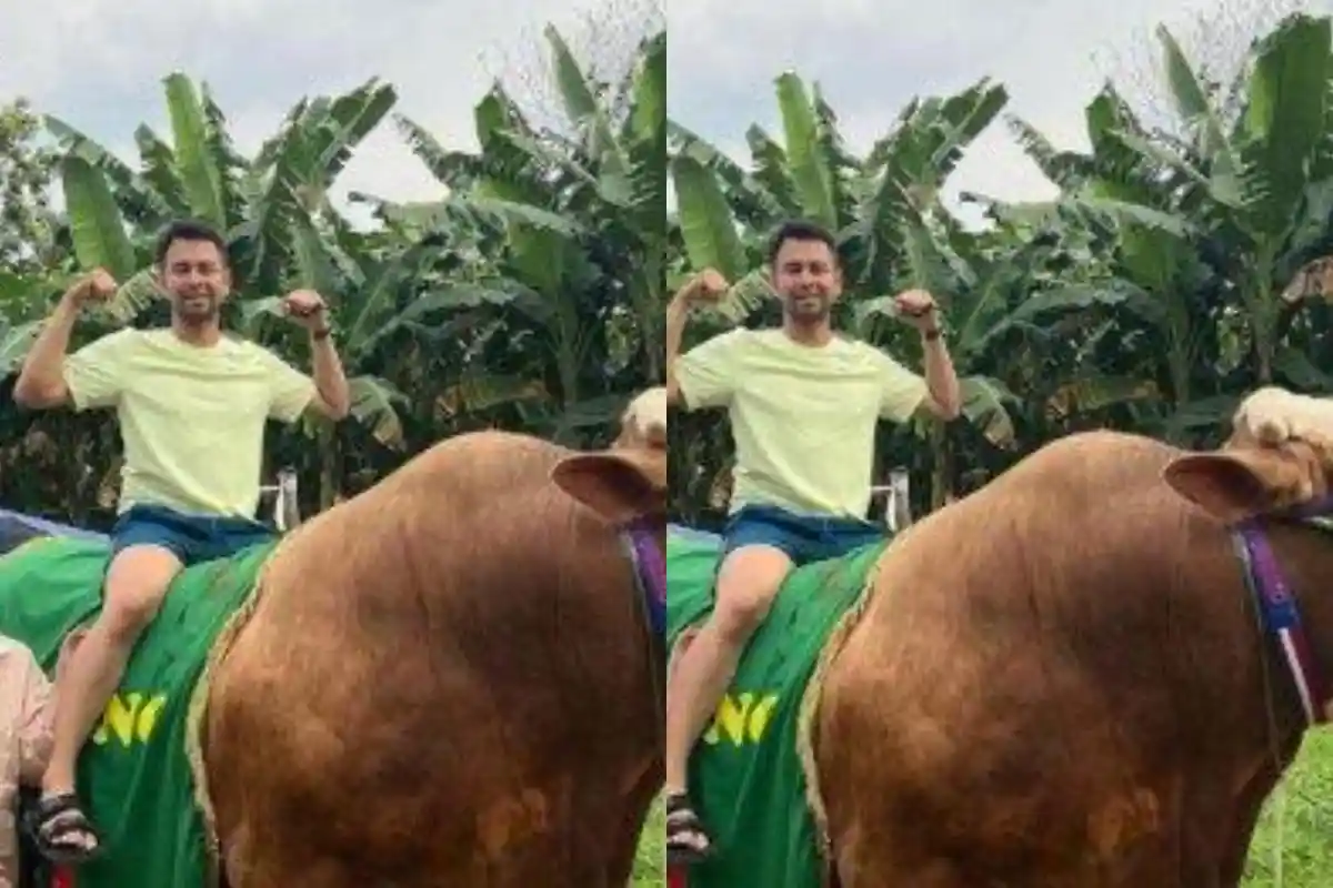 Raffi Ahmad dan Nagita Slavina Potong 30 Hewan Kurban di Idul Adha 2022