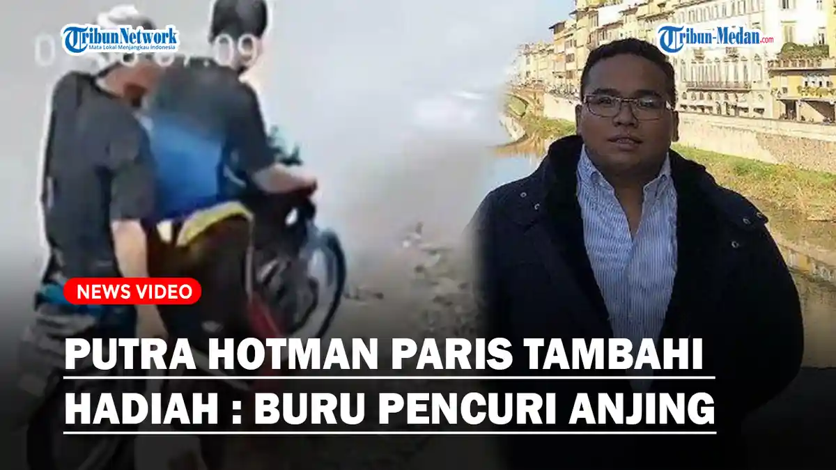 Putra Hotman Paris Tambah Hadiah Sayembara untuk Buru Pencuri Anjing di Medan : Total Rp 39 juta