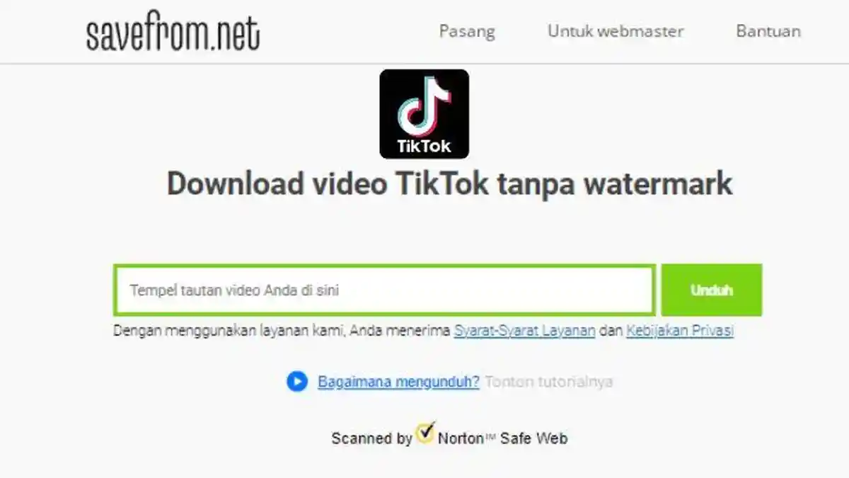 5 Cara Download Video dan Musik TikTok di Savefrom MP4 jadi MP3, Unduh Cepat Gratis