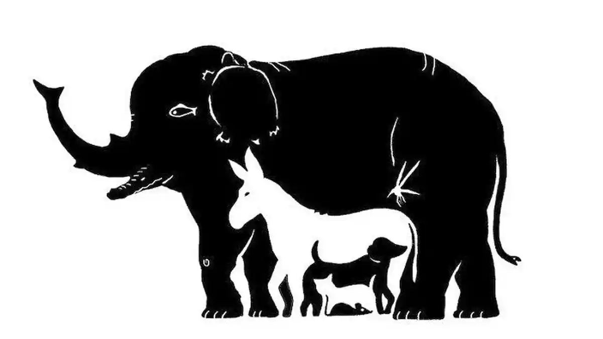 Tes Kepribadian, Jumlah Hewan yang Ditebak Tunjukkan Kecerdasan dan Ketelitian Seseorang