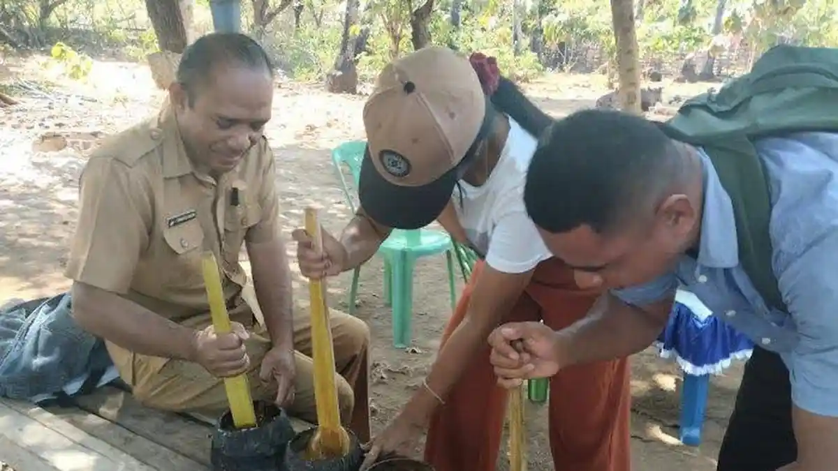 Penyadap Gula di Desa Daudolu Rote Barat Laut Harus Pertahankan Kualitas