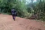 Gerakan Tanah Ancam Sungai Bodor Nganjuk, Jalan Terancam Putus