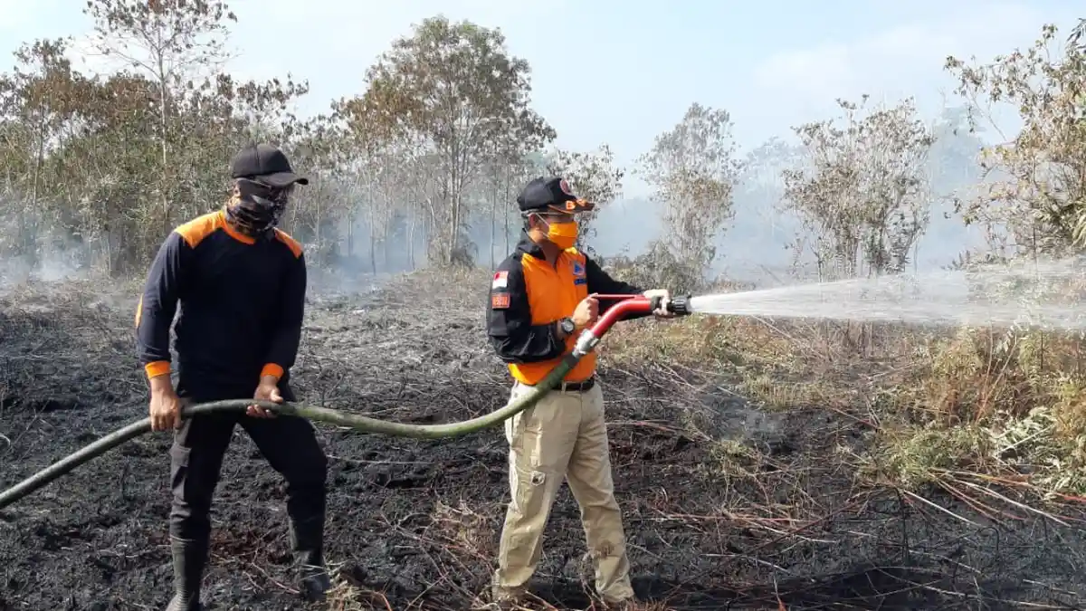 Titik Api Muncul di Bengkalis Riau, Angin Sulitkan Tim Gabungan Padamkan Karhutla