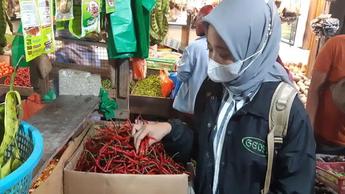 Harga Cabai Merah di Batam Makin Pedas, Satu Kilogram Kini Mencapai Rp 70.000