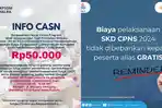 Heboh-Peserta-SKD-CPNS-2024-Pemkab-Malra-Harus-Bayar-Rp-50-Ribu-Ini-Kata-BKN.jpg