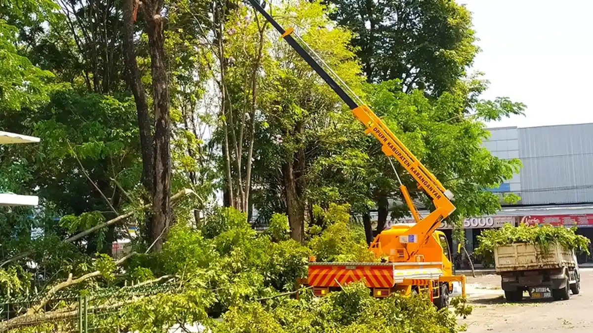 Antisipasi Pohon Tumbang, Disperkim Semarang Tambah Tim Perempel Pohon