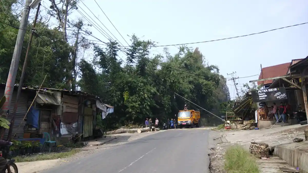 Pohon Tumbang Timpa Kios BBM Eceran dan Putuskan Jaringan Listrik di Kabanjahe