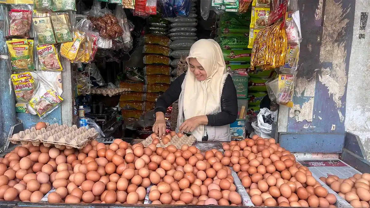 Harapan Pedagang Telur di Bandar Lampung Terkait Rencana Penetapan HET Baru - Tribunlampung.co.id
