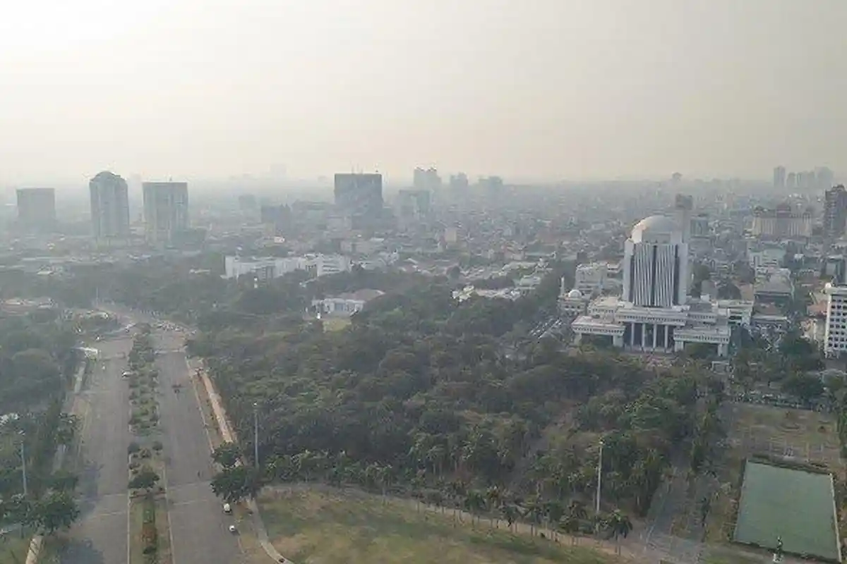 Pemindahan IKN Disebut Walhi Tak Berdampak pada Penurunan Masalah Lingkungan di Jakarta