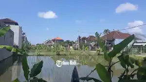 ilustrasi-pertanian-di-kota-denpasar.jpg