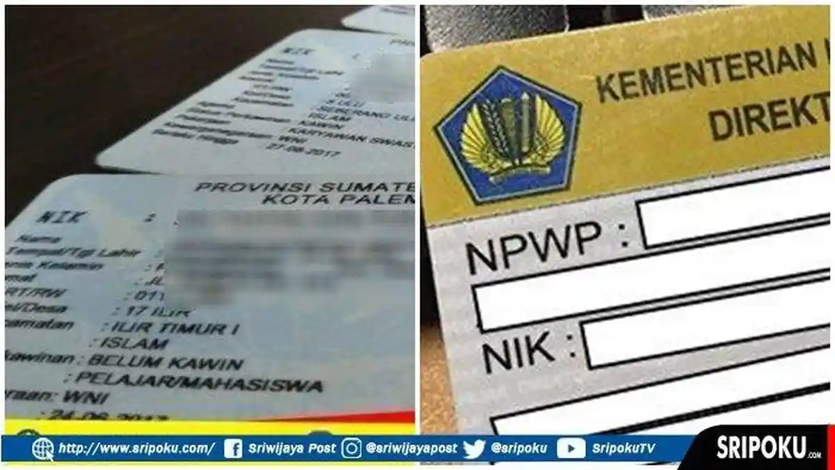 Cara Cek  Status NPWP Aktif atau Tidak Secara Online dengan Mudah