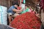 Harga-Cabai-Makin-PEdasa-di-Medan-Sekarang.jpg