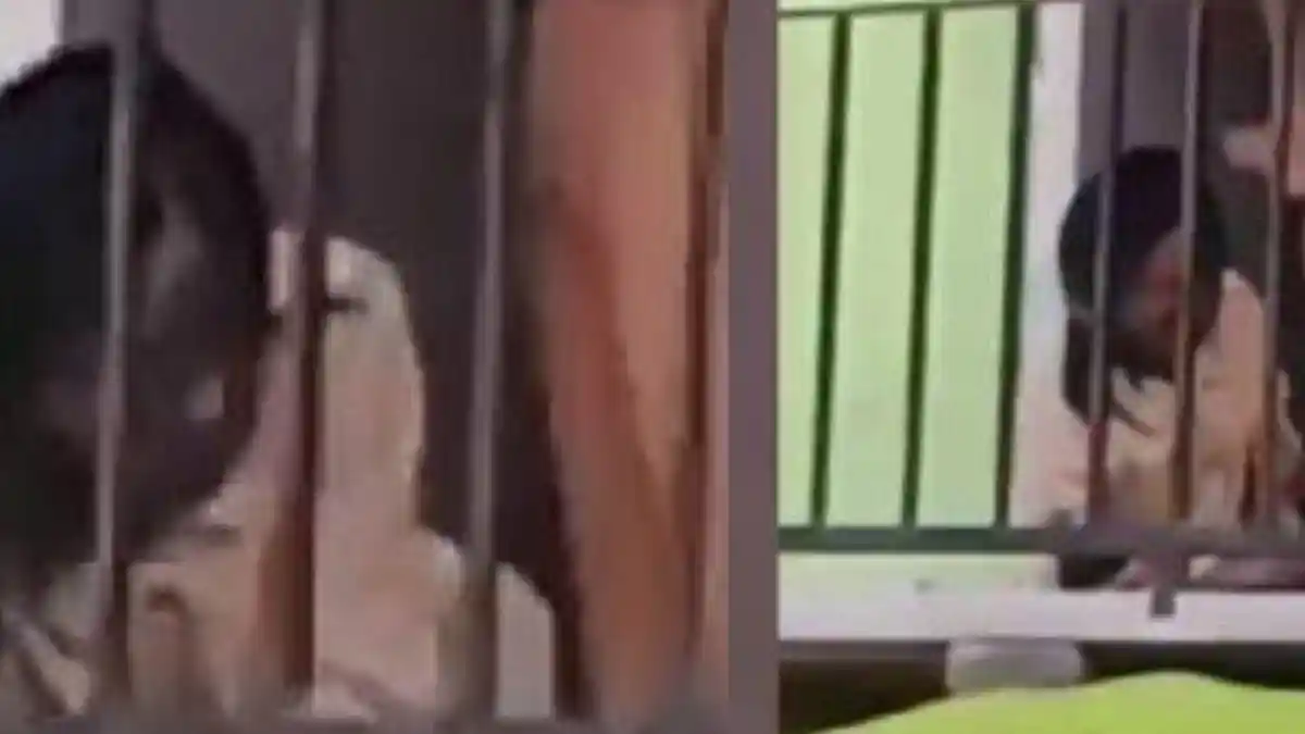 Pria di Banggai Tuai Kecaman Netizen, Aksi Brutalnya Terekam saat Injak Kepala dan Aniaya Wanita