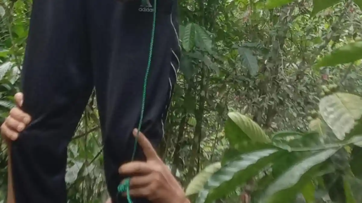Seorang Pria di Akabiluru Limapuluh Kota Ditemukan Tewas Tergantung di Pohon