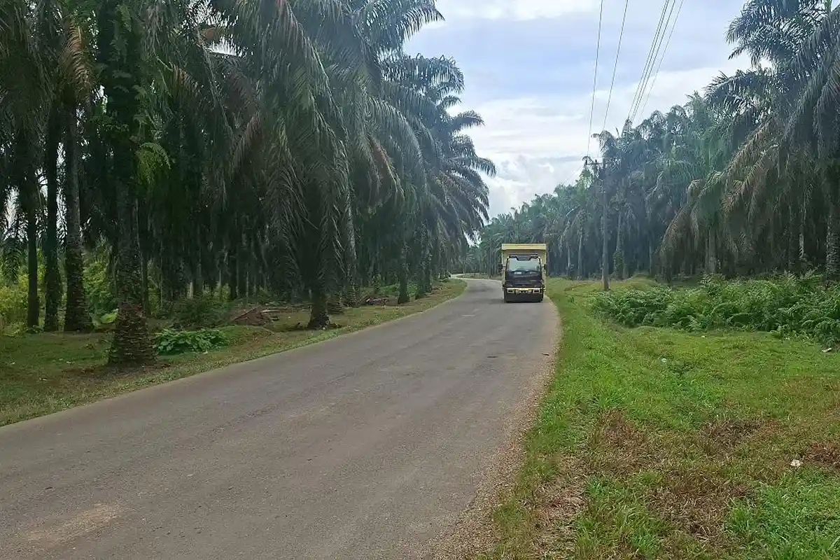 Gelap dan Sunyi Picu Aksi Begal di Tenggulun, Warga Minta Penerangan Jalan