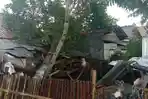 pohontumbangpangandaran.jpg