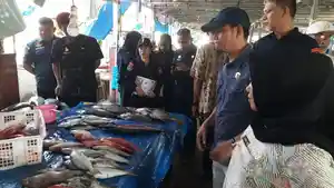 Tim-DKP-sulbar-pantau-ikan-di-pasar-ikan-mamuju.jpg