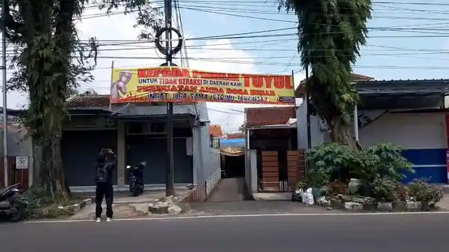 Tribun
