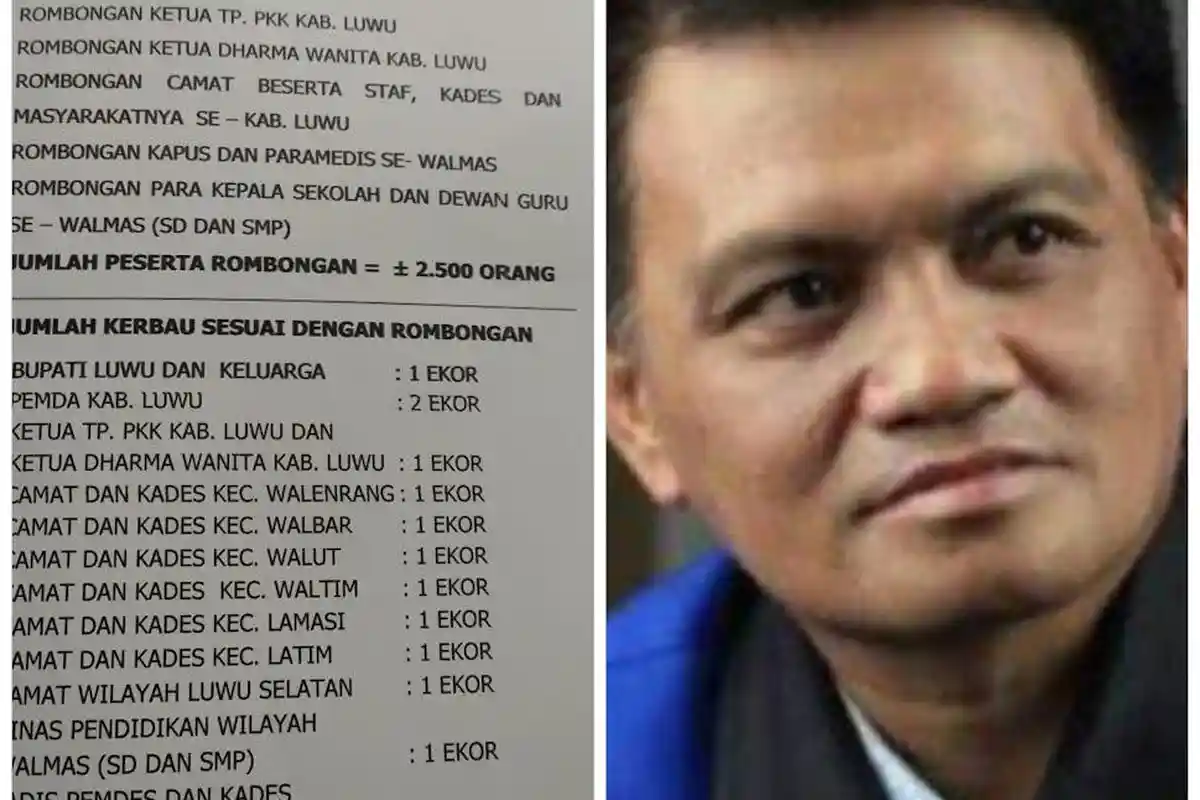 Basmin Mattayang dan Rombongan Sumbang 13 Ekor Kerbau untuk Upacara Pemakaman Syukur Bijak