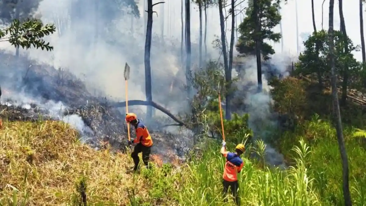 BREAKING NEWS: Kebakaran Gunung Arjuno-Welirang Meluas, Api Merembet Masuk Wilayah Kota Batu