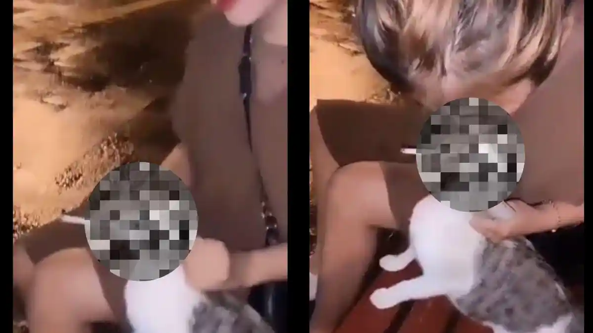 VIRAL, Wanita Ini Tega Paksa Seeekor Kucing Merokok, Bikin Warganet Bilang Begini: