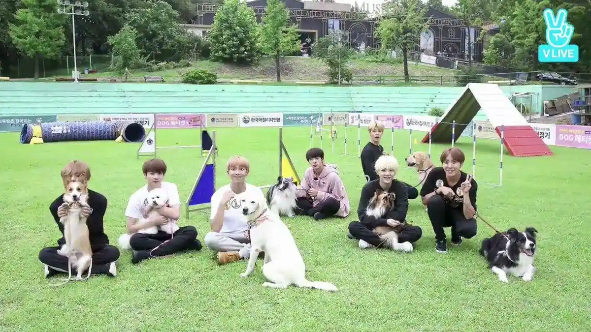 Yuk Kenalan dengan Peliharaan Member BTS! Sering buat ARMY Merasa Gemas